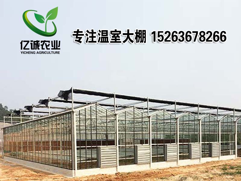 玻璃連棟溫室