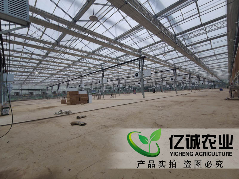 玻璃連棟溫室
