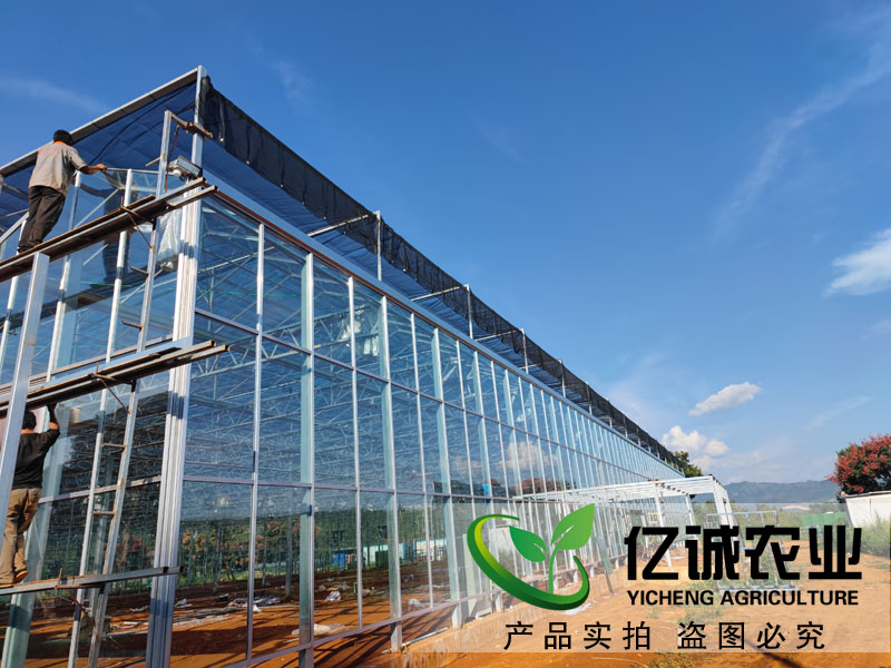 承建連棟玻璃溫室大棚